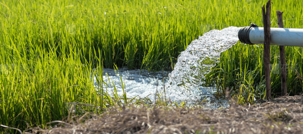 5HP Engine-agricultural irrigation water pumping field