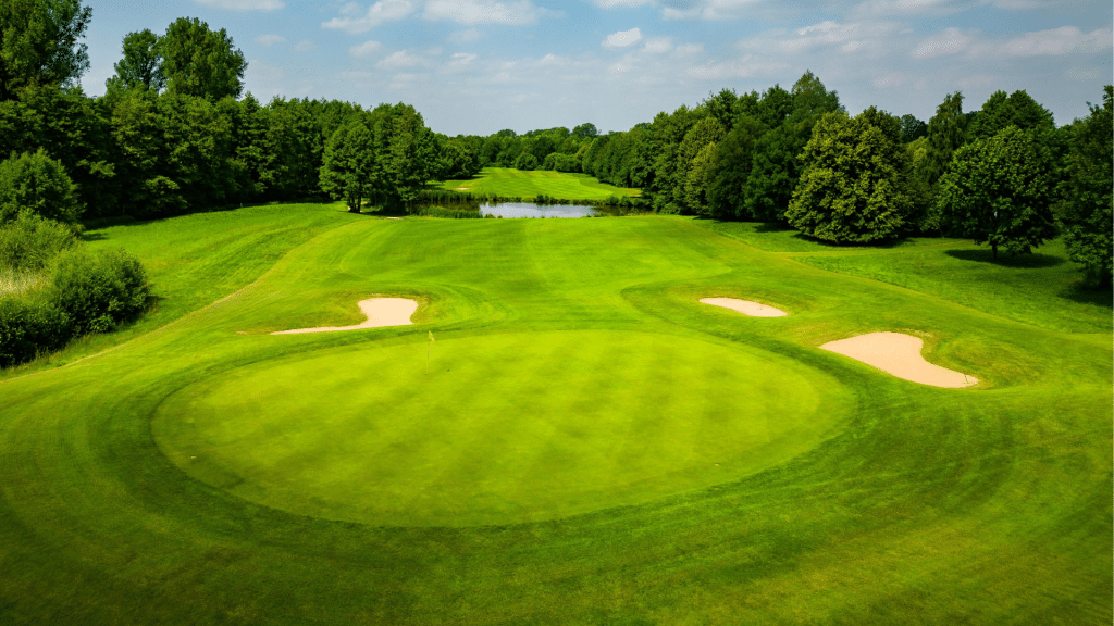 The best time to mow lawn is usually mid-morning, after the morning dew has dried but before the hottest part of the day.